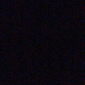 Meet your Posher, Daisy